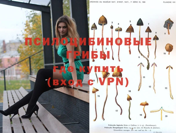 бутират Покачи