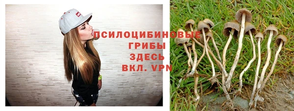 бутират Покачи